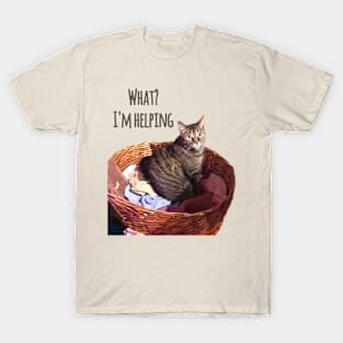 What I’m Helping T-Shirt